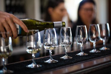 Mount Tamborine private wine experience from Gold Coast with lunch